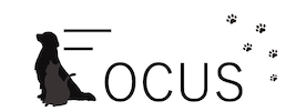 FOCUS